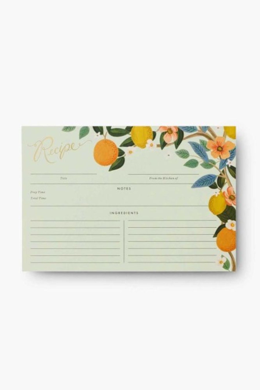 Rifle Paper Co Rifle Paper Co. Pack Of 12 Citrus Grove Recipe Cards | Home Decor