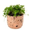 Indaba Trading Indaba Speckle Pot In Sierra | Home Decor