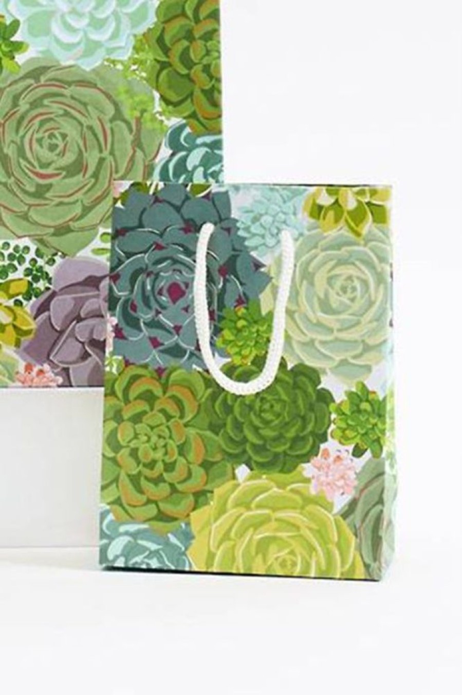 Waste Not Paper Wnp Succulent Small Bag | Office