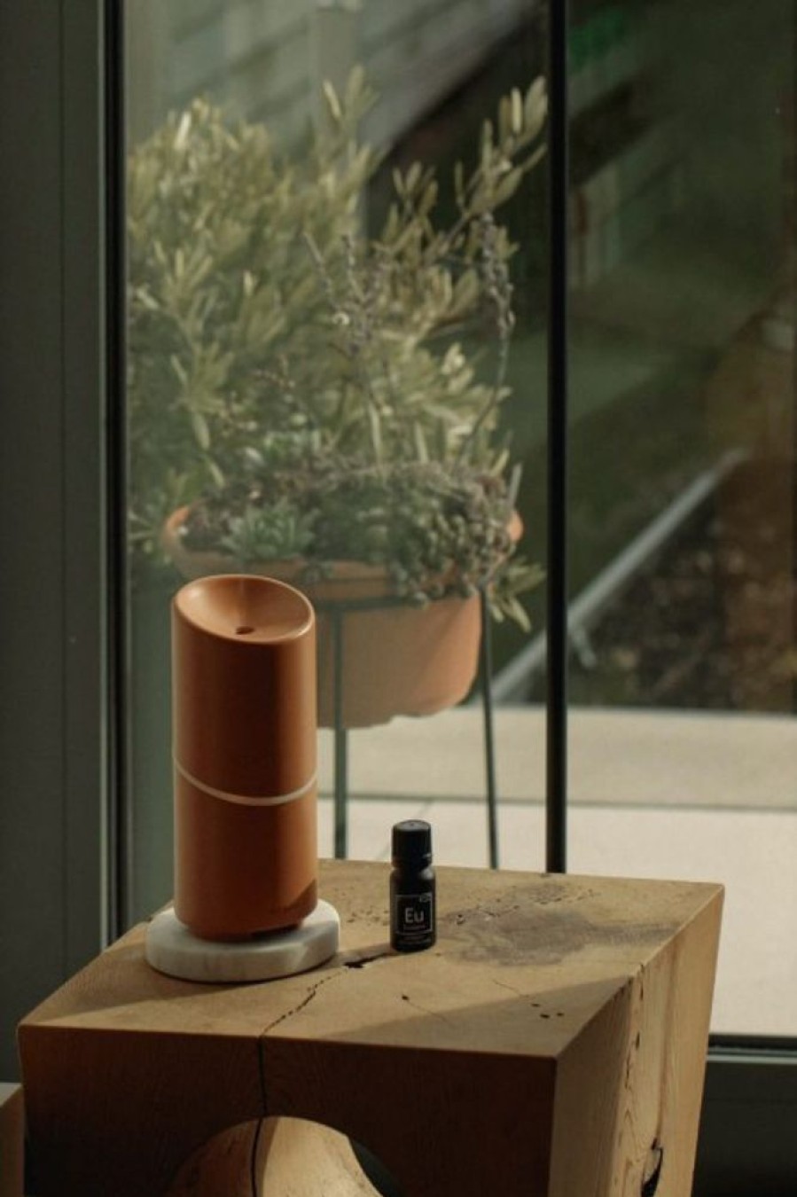 Vitruvi Vitruvi Move Diffuser In Terracotta | Home Decor