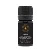 Hollow Tree 1871 Hollow Tree Canoe Diffuser Oil | Beauty