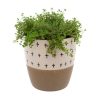 Indaba Trading Indaba Doodle Pot In Taupe | Home Decor