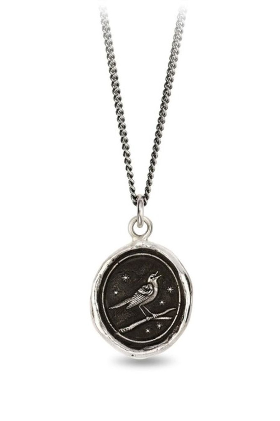 PYRRHA Pyrrha Nightingale Talisman In Silver 18 | Accessories