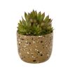 Indaba Trading Indaba Speckle Pot In Olive | Home Decor