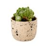 Indaba Trading Indaba Speckle Pot In Ecru | Home Decor