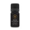 Hollow Tree 1871 Hollow Tree Lone Pine Diffuser Oil | Beauty