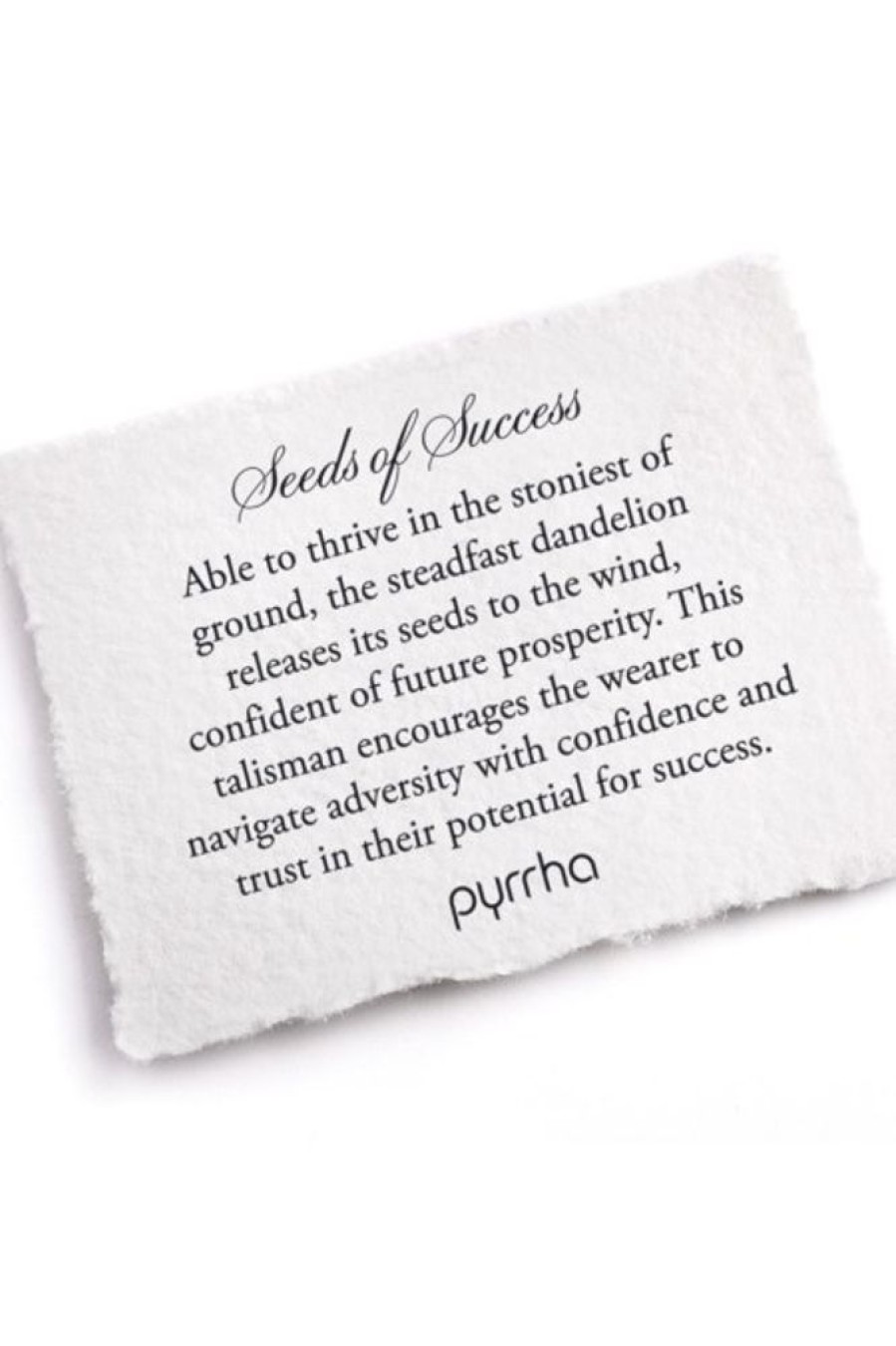 PYRRHA Pyrrha Seeds Of Success Talisman In Sterling Silver 18 | Accessories