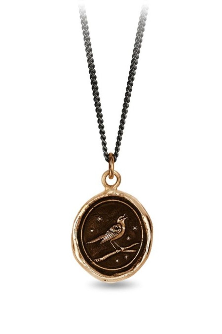 PYRRHA Pyrrha Nightingale Talisman In Bronze 18 | Accessories